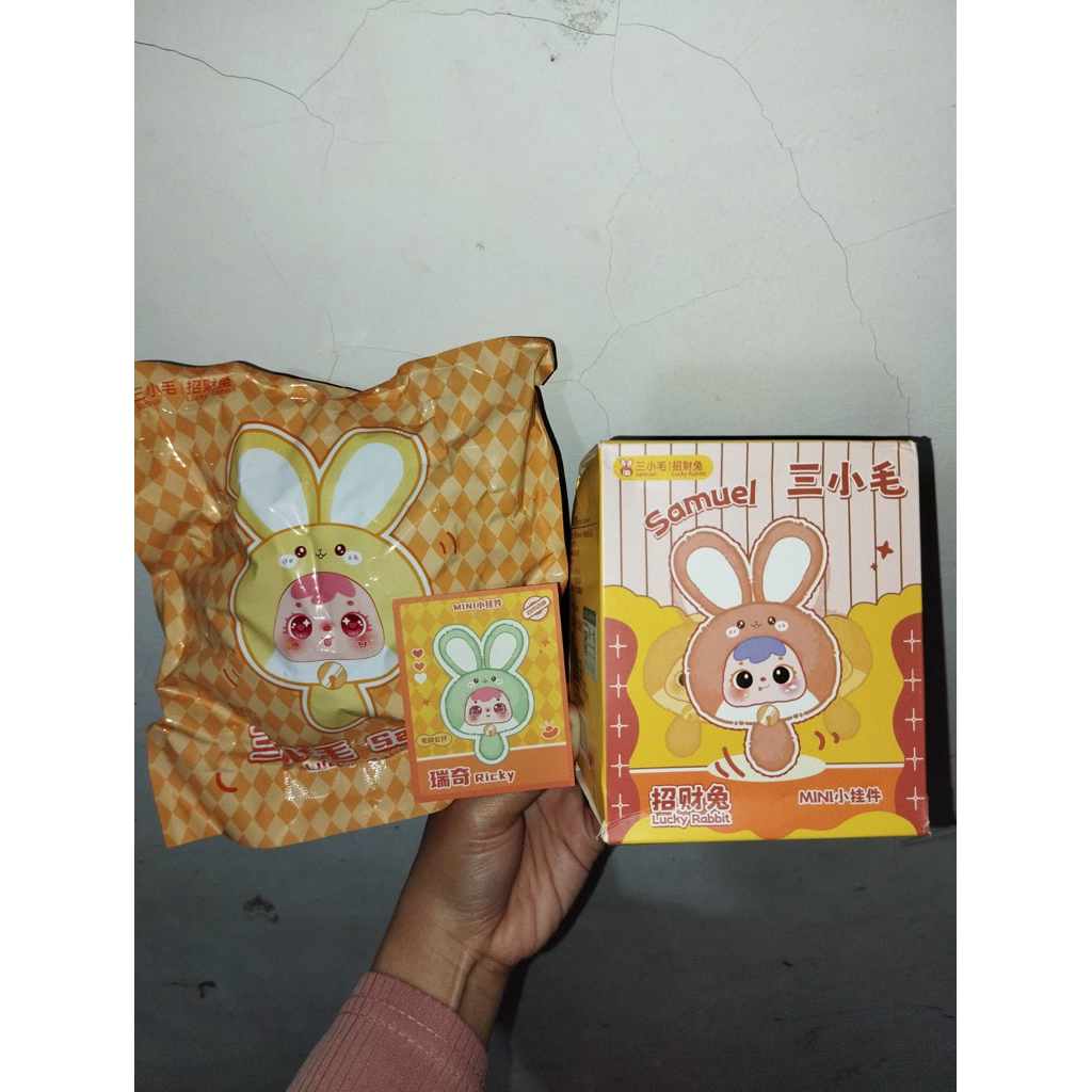 Blindbox: Mini Samuel Lucky Rabbit (Selected - still BC) | Shopee Singapore