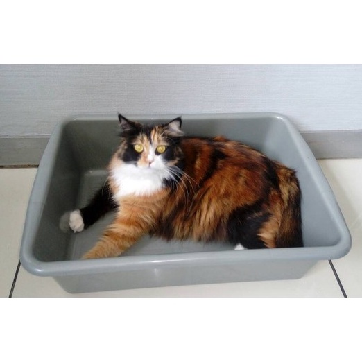 Double Fold XXL CAT LITTER LITER CAT TOILET Basin Small Dog Tub PUP ...