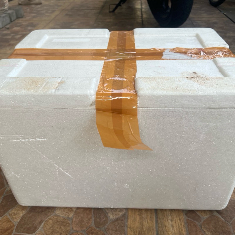 Styrofoam/styrofoam/styrofoam/staerofoam /Starofoam/Cork/Fish Box ...