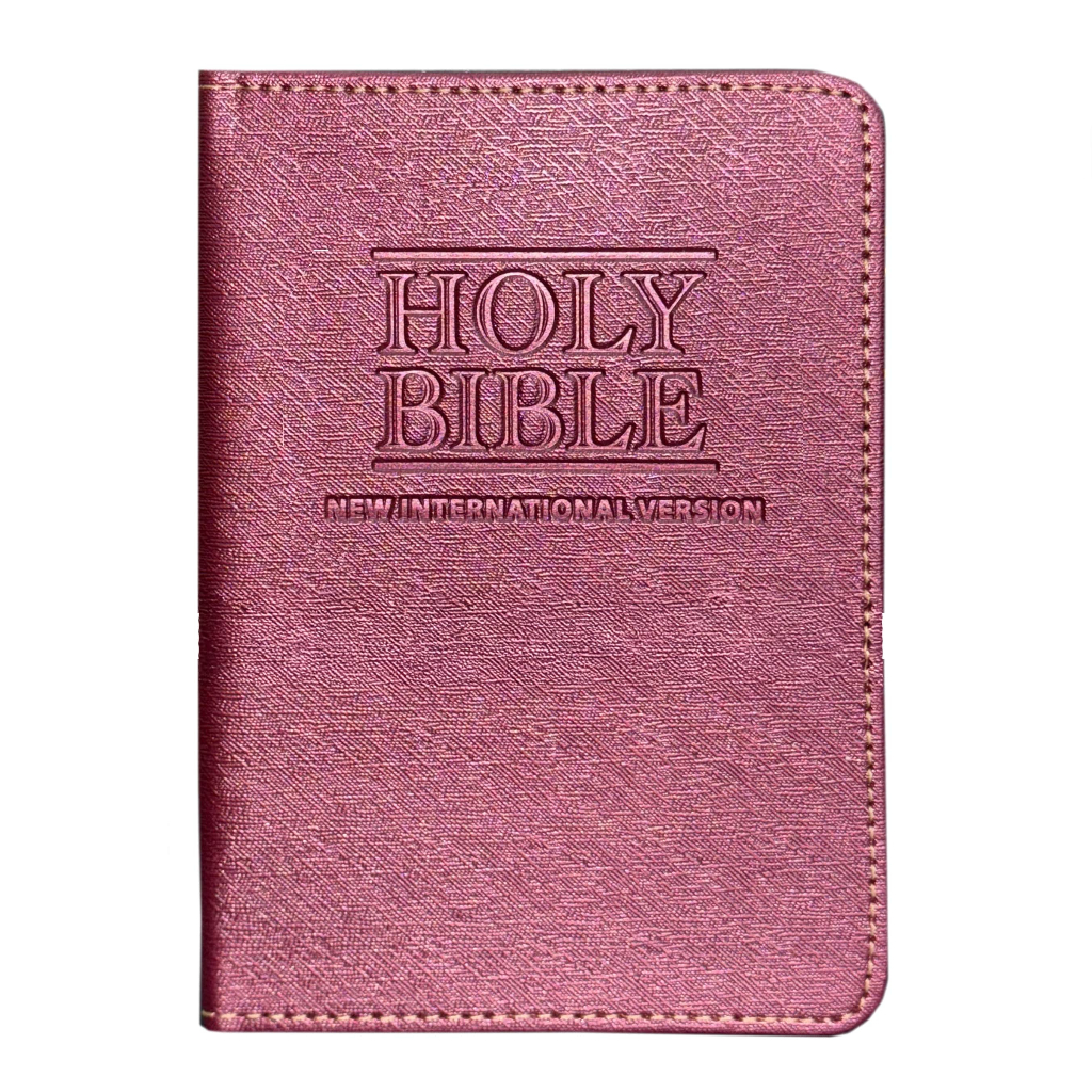 NIV Bible Size. Small (034 NIV CABLE COMPACT) | Shopee Singapore