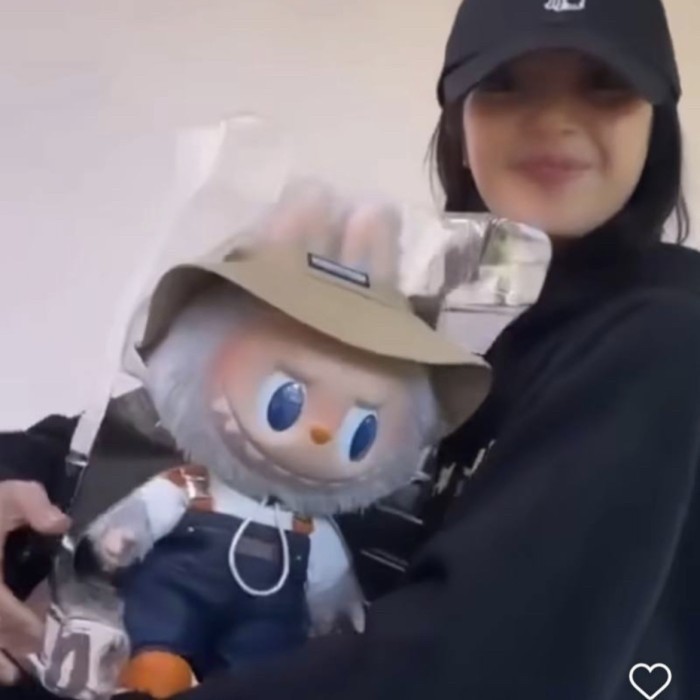 Labubu fall in wild plush doll original popmart pop mart | Shopee Singapore