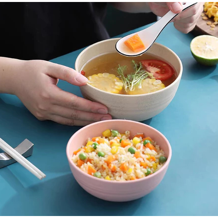 Dreamyhouse 4pc Wheat Straw Bowl 15cm Set - Gambar 4