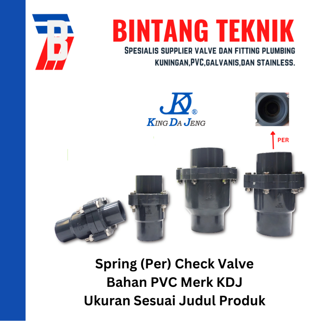 Spring Check Valve 1