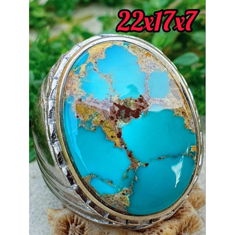 All New Variant Of Natural Turquoise Persian | Shopee Singapore