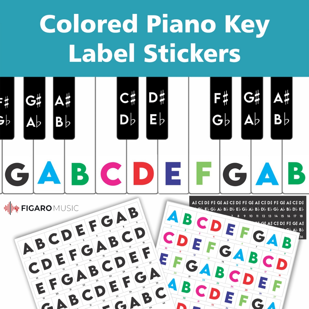 Piano Keyboard Keys Label sticker Transparent Letter Notation sticker ...