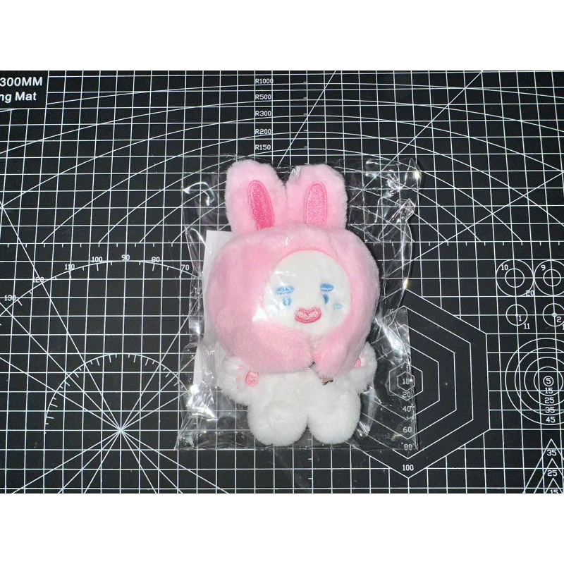 READY JJINGGUWANG DOLL 10CM (with damage) SHINEE ONEW | Shopee
