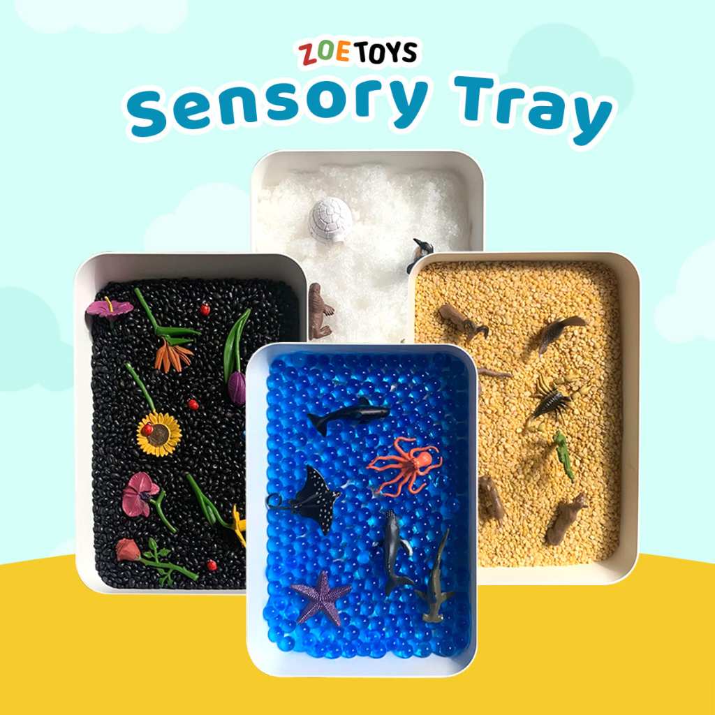 Zoetoys Sensory Tray LMS SS | Montessori Sensory Storage Box Container ...