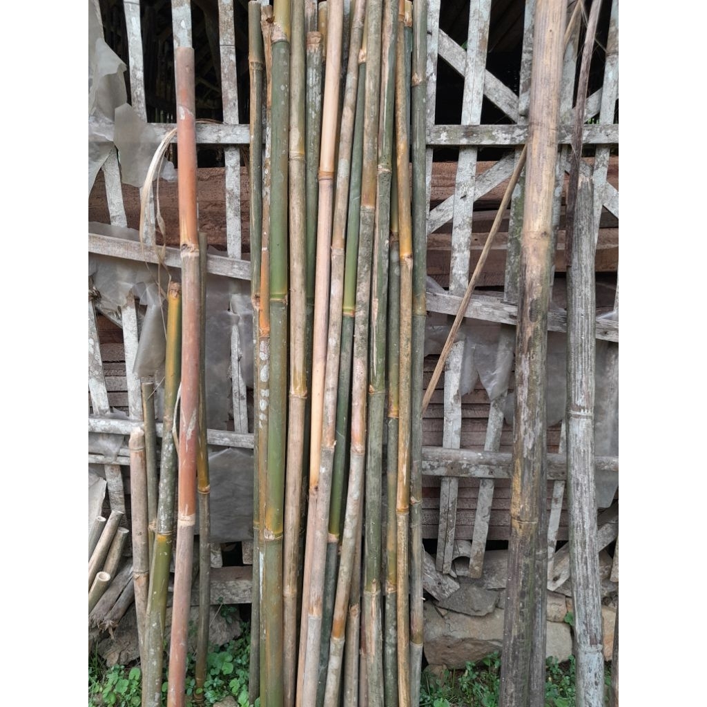 Round bamboo stems, craft materials, 200cm high, contents 1 piece, good ...