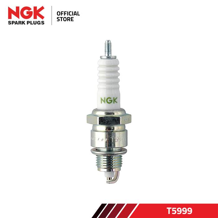 Busi Motor NGK Standard T5999