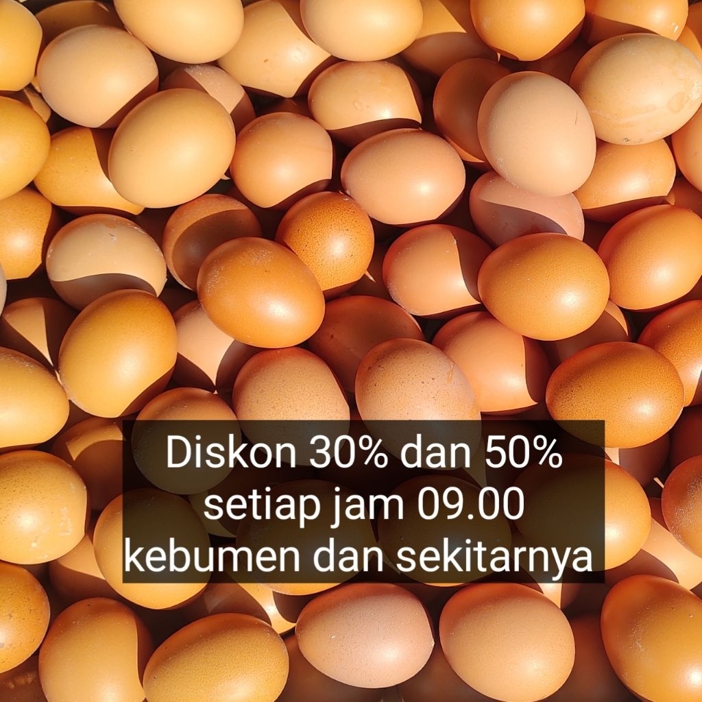 TELUR AYAM KEBUMEN 1,2KG FRESH DARI KANDANG - Gambar 2