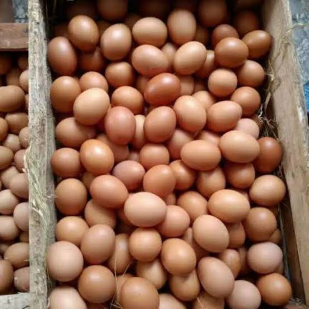 Telur Ayam Segar 1kg - Fresh & Praktis - 1kg - khusus instan sragen