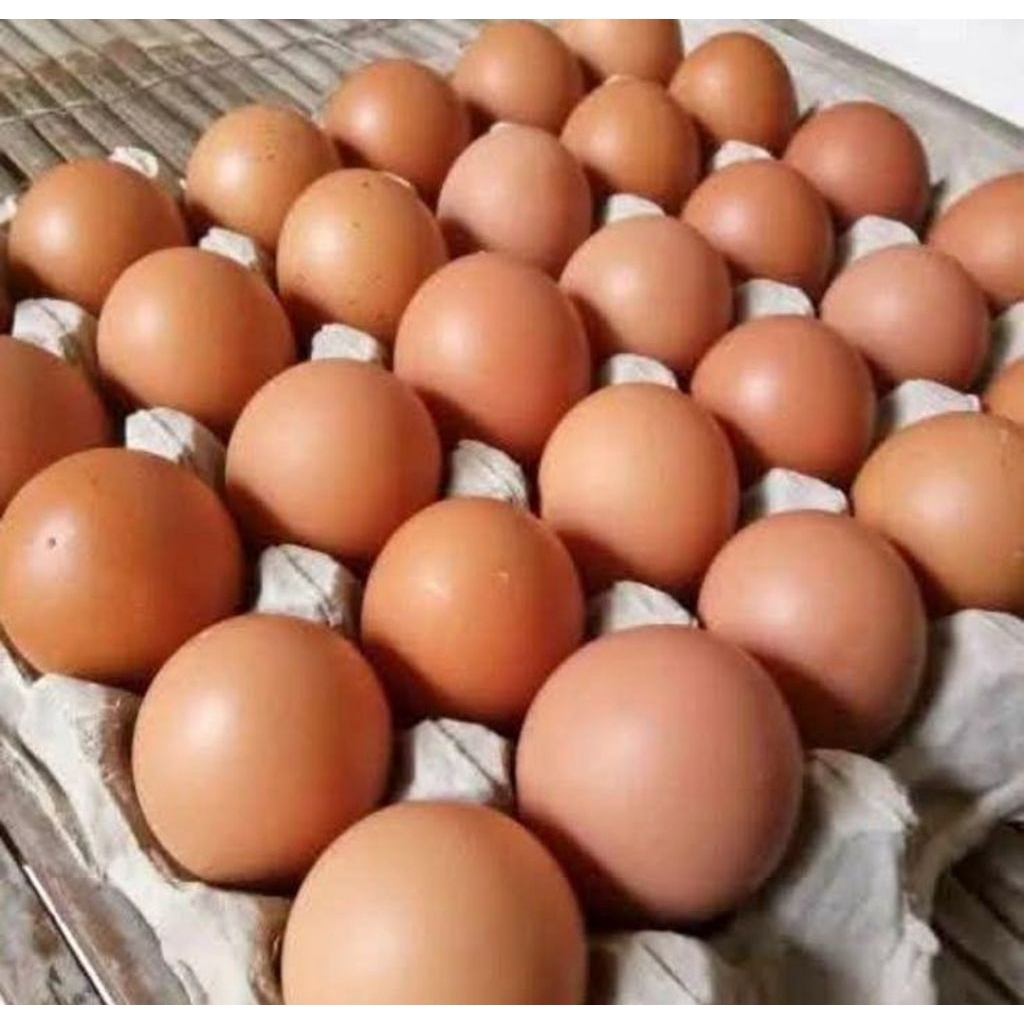 ZUANSTORE telur ayam negeri, Instan