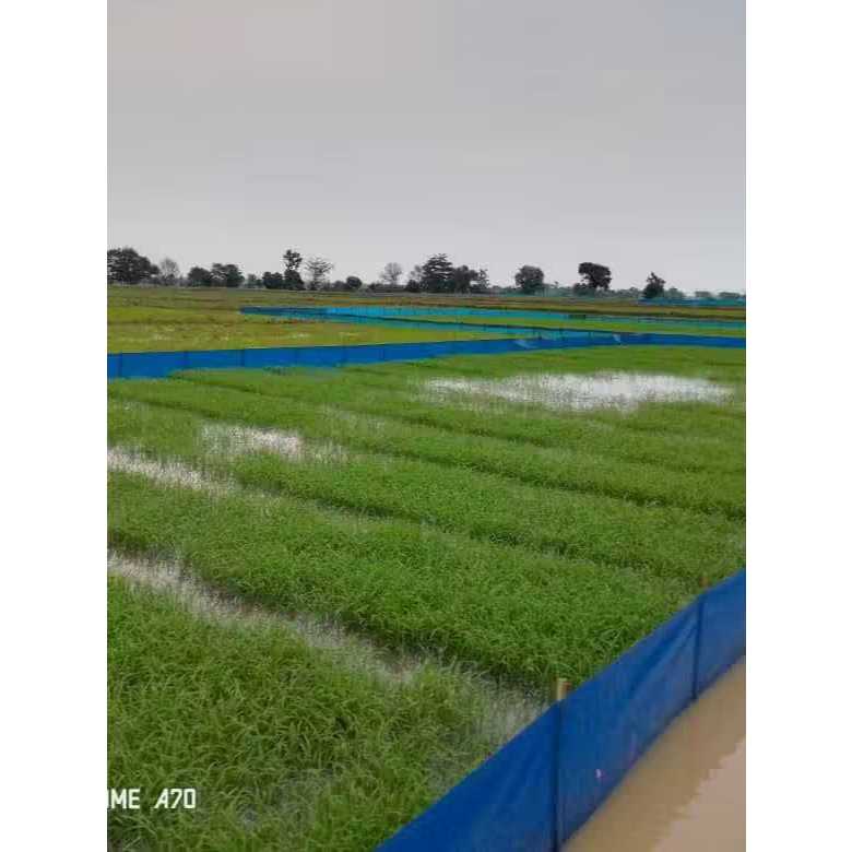 Plastic pinian fence/plastic rice field fence 90 meters | Shopee Singapore
