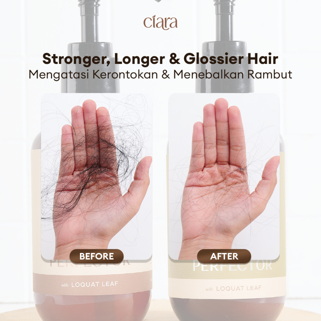 Ciara Hair Wash X Conditioner Perfector With Loquat Leaf Kondisioner rambut rusak conditioner rambut bercabang rambut patah conditioner rambut rusak rambut ketombe conditioner hair fall shampo rambut kering hair wash sampo rambut rusak sampo - Gambar 4