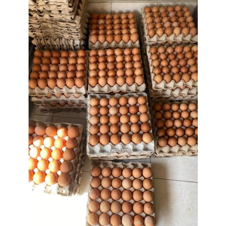 TELUR AYAM NEGERI 1 Kg FRESH INSTAN LANGSUNG KIRIM - Gambar 3