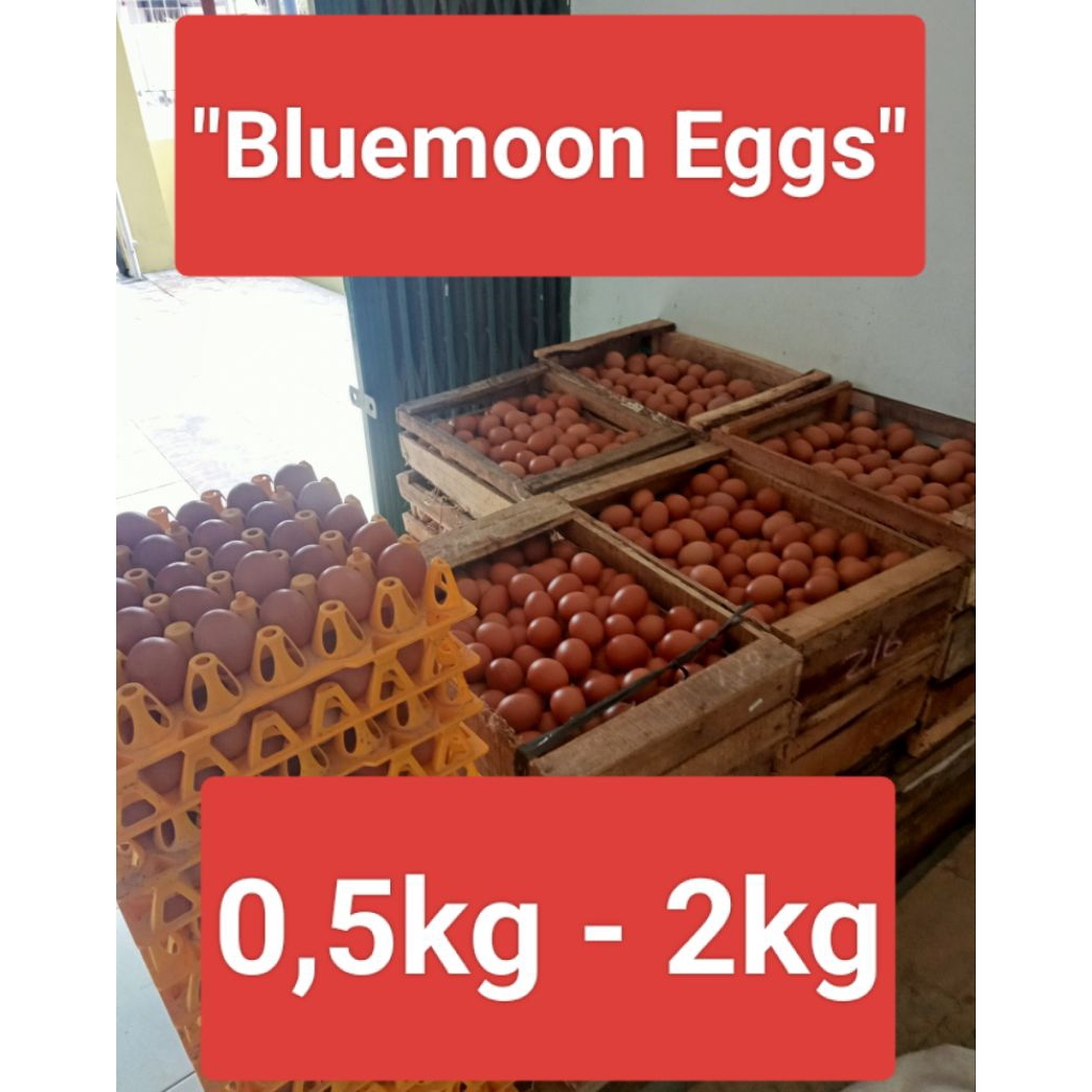 Telur Ayam 0,5 - 2kg Kab. CILACAP