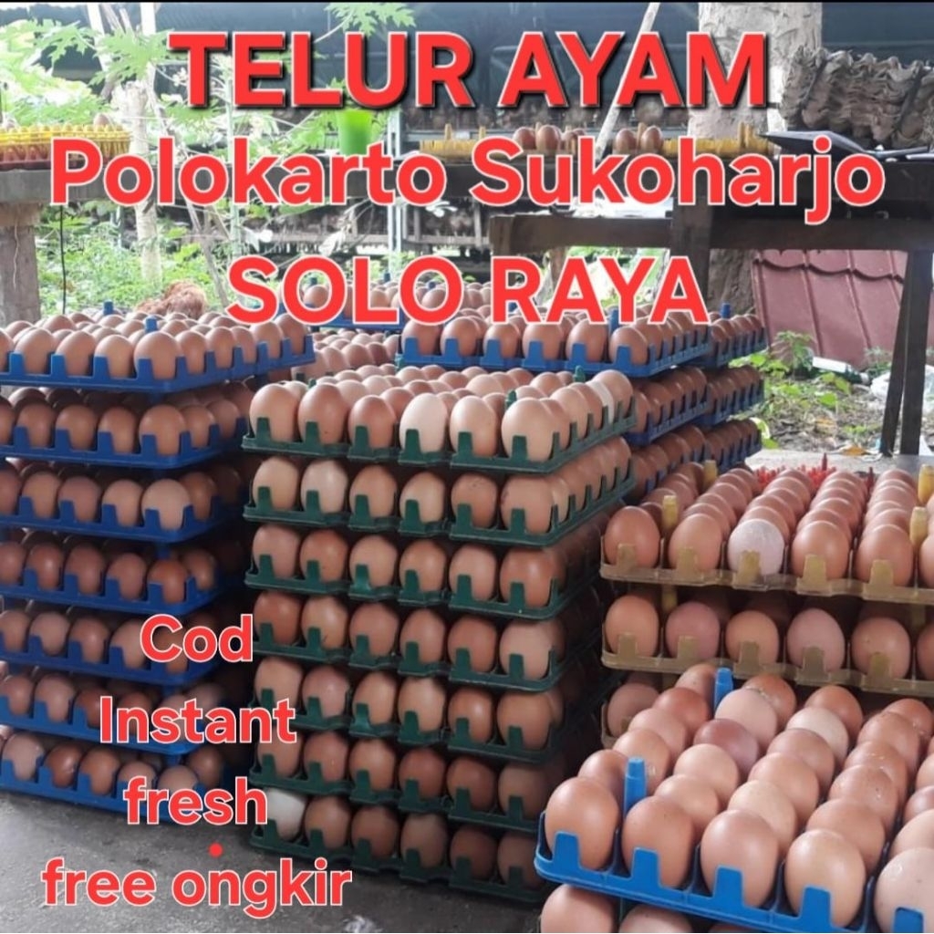 TELUR AYAM 1/2Kg - 1 kg - 1,2kg - 1,5 Kg. Instant dan Cod Polokarto Sukoharjo