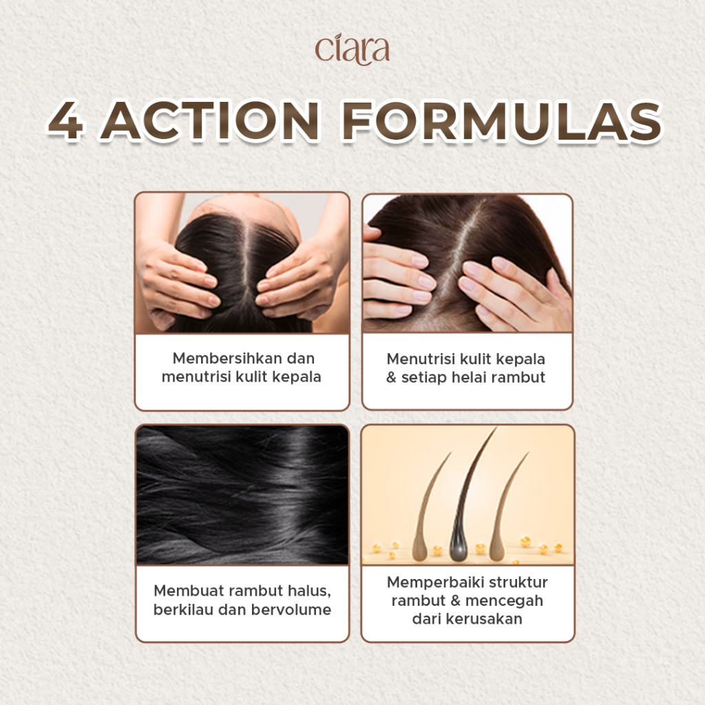 Ciara Hair Wash X Conditioner Perfector With Loquat Leaf Kondisioner rambut rusak conditioner rambut bercabang rambut patah conditioner rambut rusak rambut ketombe conditioner hair fall shampo rambut kering hair wash sampo rambut rusak sampo - Gambar 2