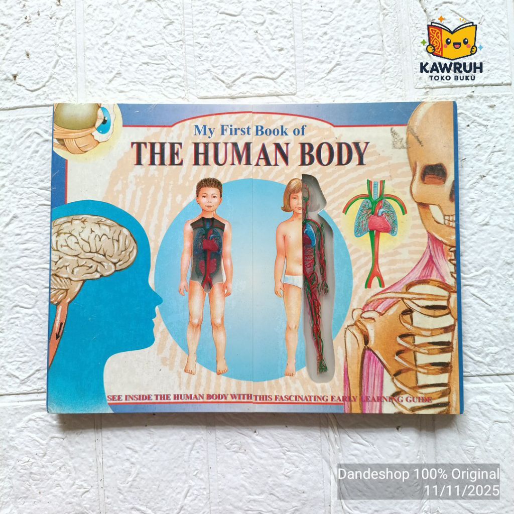 My First Book of The Human Body BOARDBOOK Interactive (see inside the ...