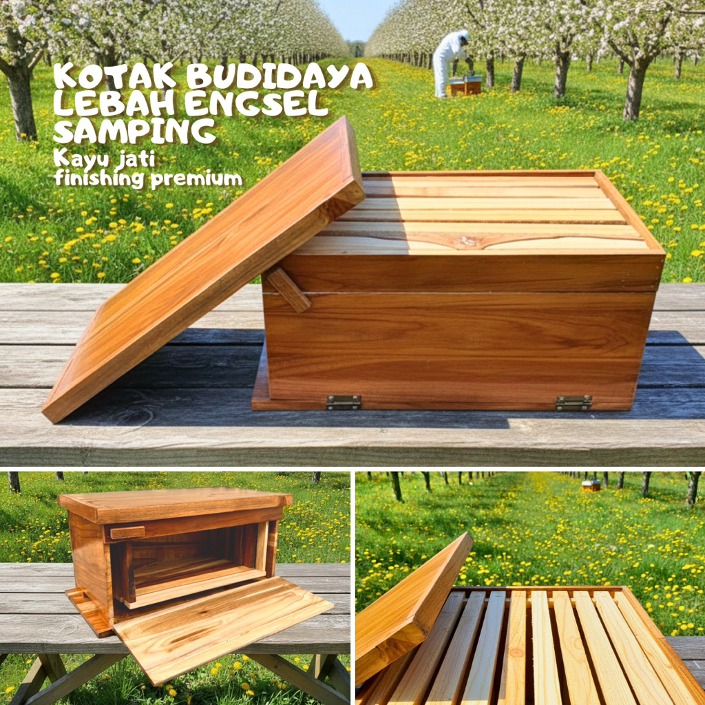 Honey Bee Cultivation Box Side Door Hinge Honey Wasp Box Teak Wood ...