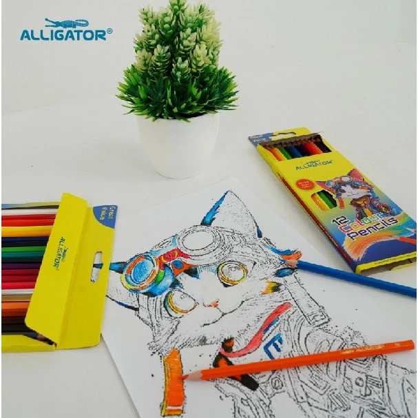 Alligator Pensil Warna Set 24 Warna Pekat - Gambar 4