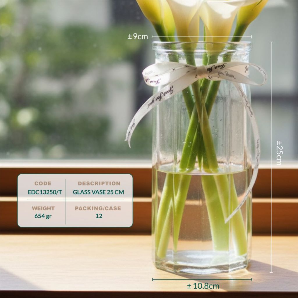 Vas Bunga Kaca 25 cm Bening Aesthetic Pot Kaca Tanaman Air Hidroponik - Gambar 3