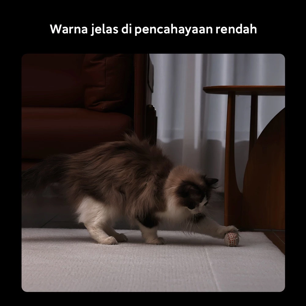Xiaomi Smart Camera C500 / Kejernihan 3.5K dengan kamera 6MP / Warna jelas di Pencahayaan Rendah / Cakupan dan perlindungan 360° / Deteksi AI manusia & hewan peliharaan [Official Store] - Gambar 4