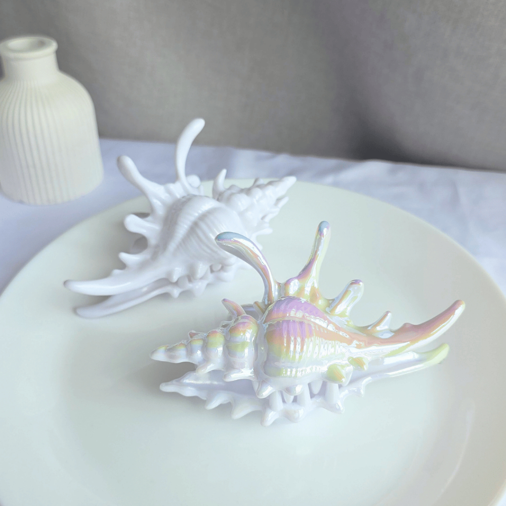 Premium Sea Conch Shell Clip | Shopee Singapore