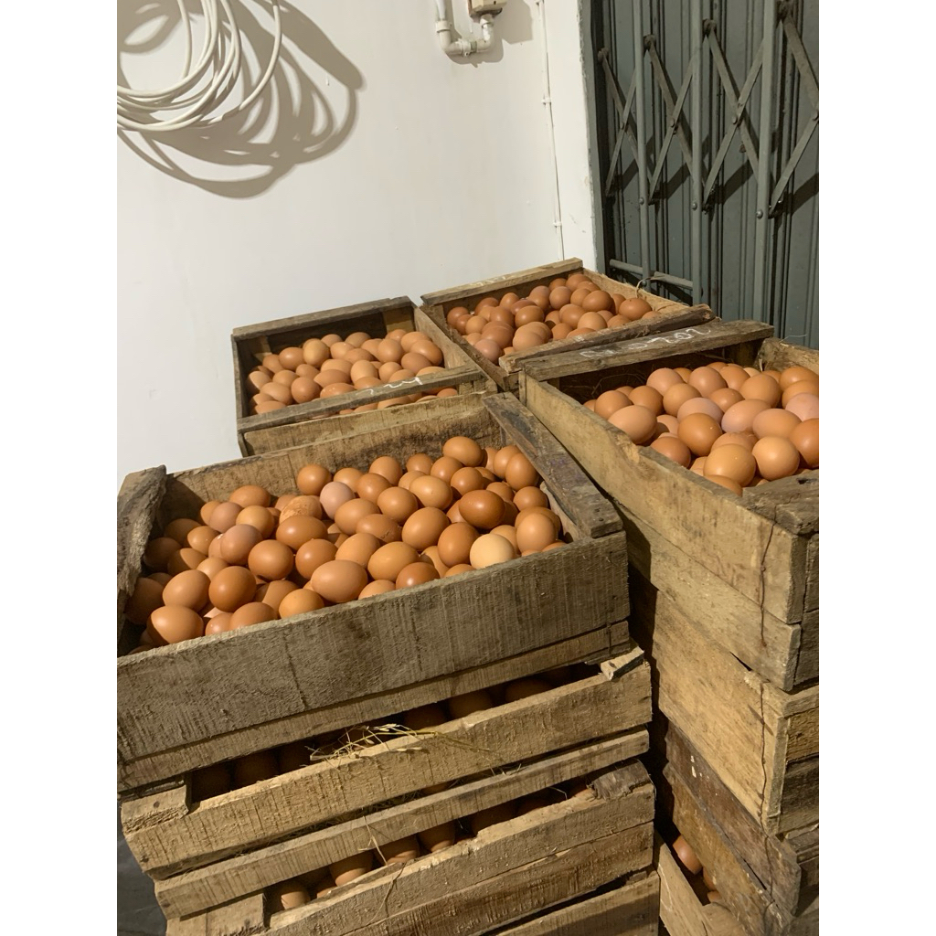 TELUR AYAM NEGERI 1KG dan 1,5KG