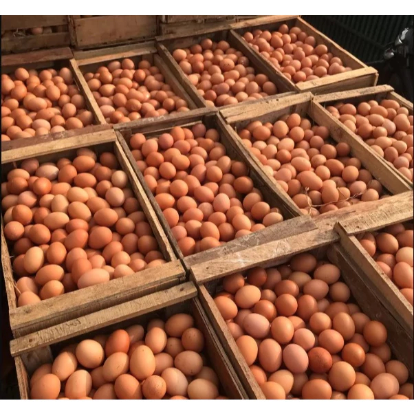TELUR AYAM NEGERI fresh pilihan / Pengiriman INSTAN solo sukoharjo - Gambar 2