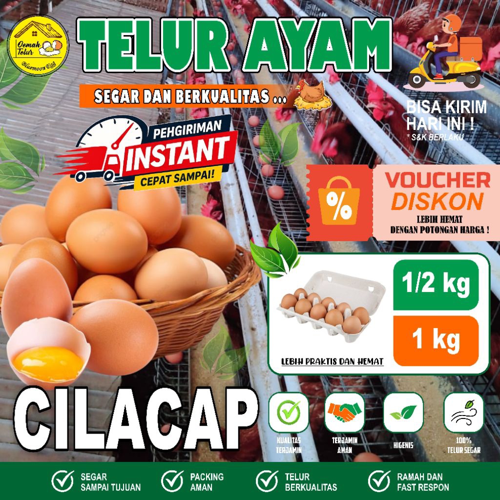 Telur Ayam Negeri 1kg, 1.5kg dan 2kg - segar, berkualitas, tinggi protein Kab. Cilacap - Gambar 3