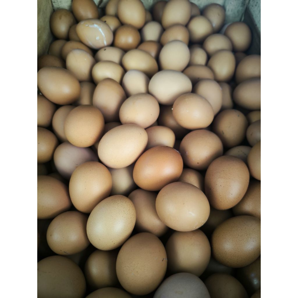 Telur Ayam Negeri Segar 1kg dan 800gr. langsung kirim - Gambar 2