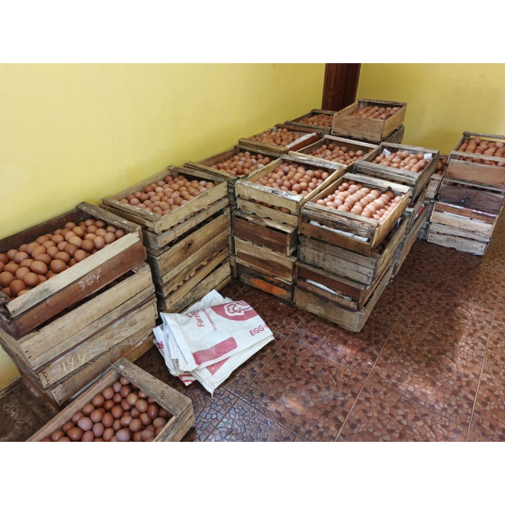 Telur Ayam Negeri promo 1 kg PURWOKERTO Langsung Dari Kandang Sendiri - Gambar 3