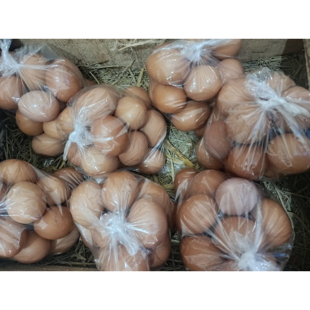 Telur Ayam Negeri promo 1 kg PURWOKERTO Langsung Dari Kandang Sendiri - Gambar 2