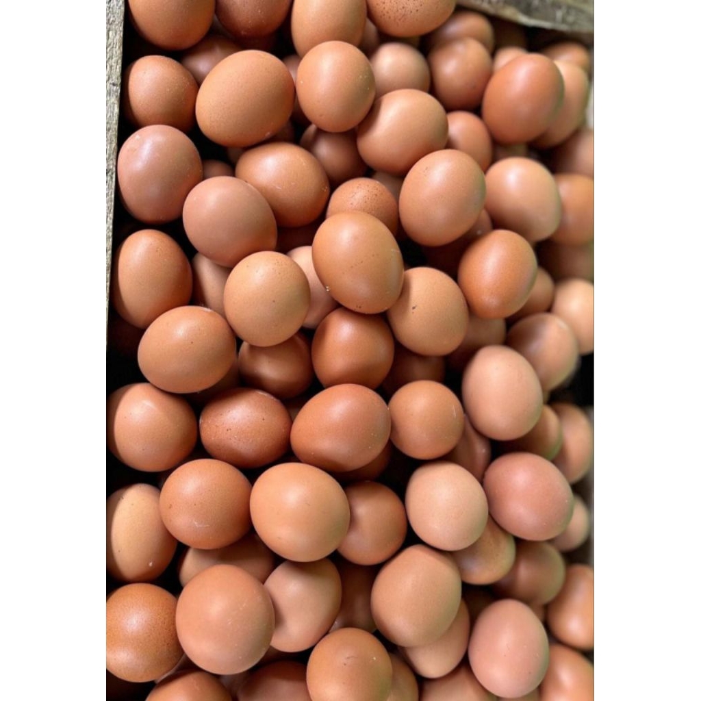 ZUANSTORE ( 1KG ) telur ayam negeri