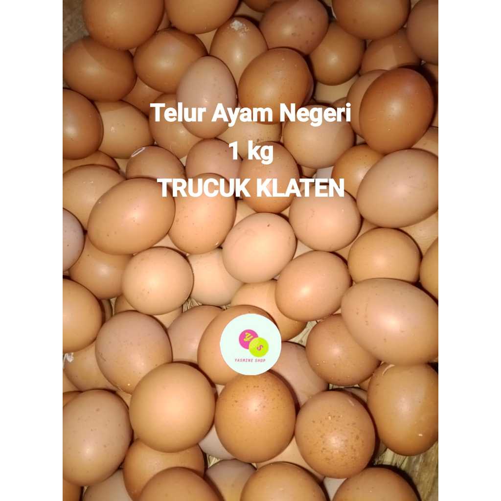 Telur Ayam Negeri PESAN HARI INI DIKIRIM HARI INI - Bisa Pengiriman Instan TELUR AREA Trucuk, Cawas, Pedan, Karangdowo dan sekitarnya - TELUR 1kg MURAH