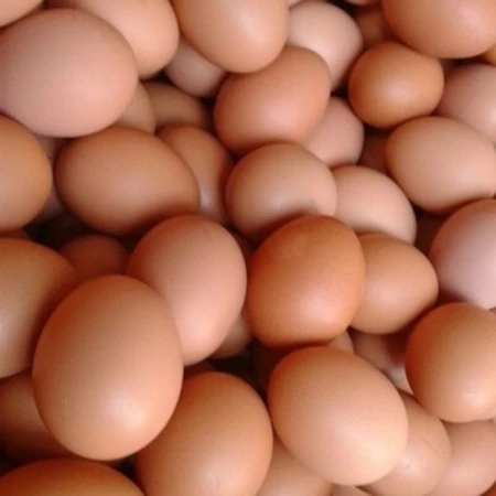 TELUR AYAM NEGERI fresh pilihan / Pengiriman INSTAN solo sukoharjo - Gambar 3