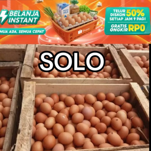 SOLO Telur ayam negeri telur ayam khusus instan soloraya