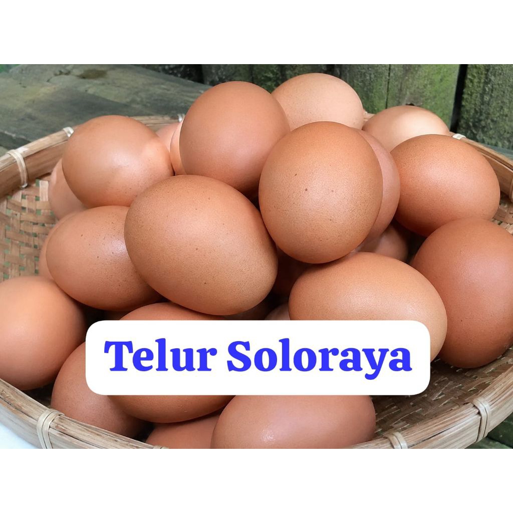 Telur Ayam Negeri 1kg (Karanganyar kota)