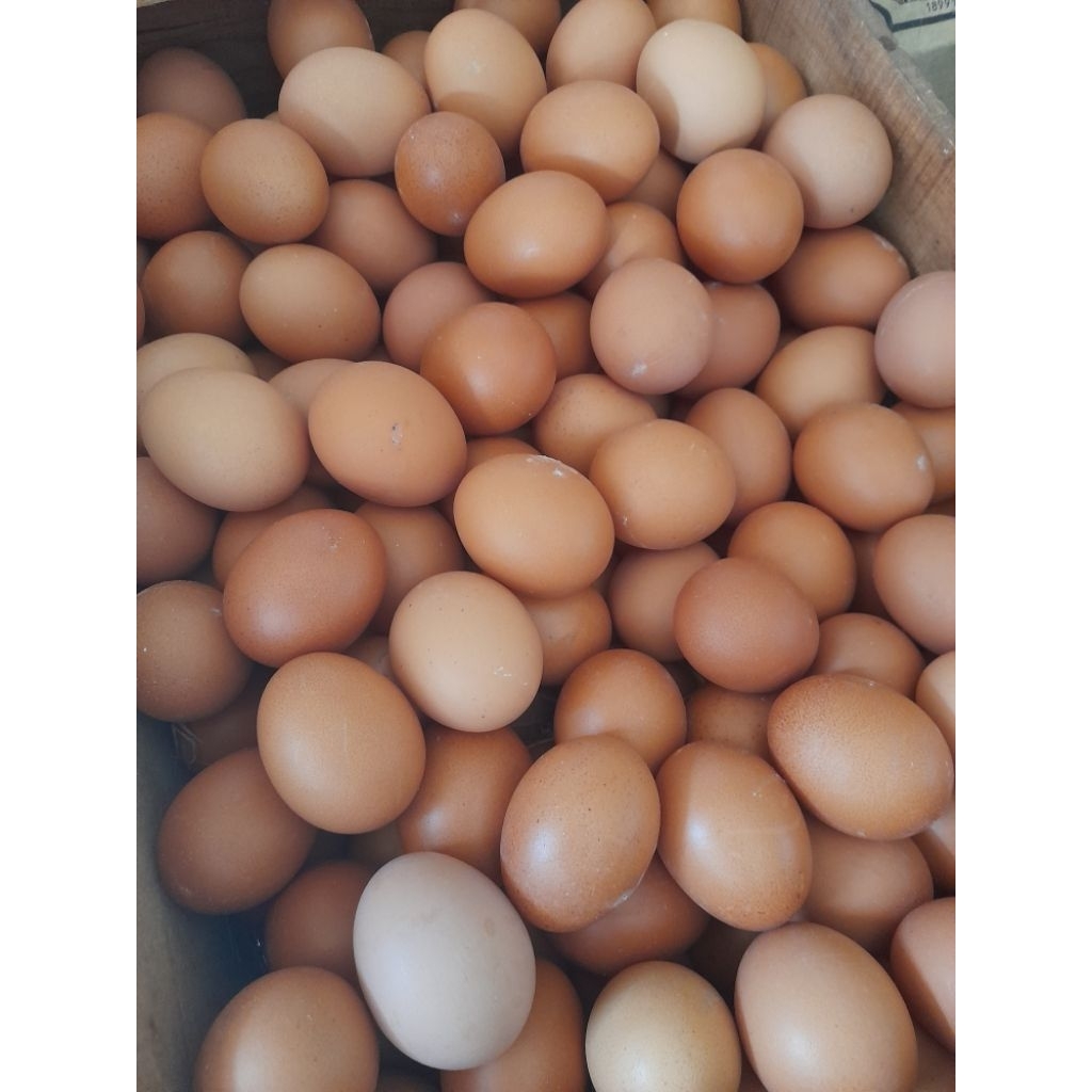 TELUR AYAM MURAH 1KG PURWOKERTO