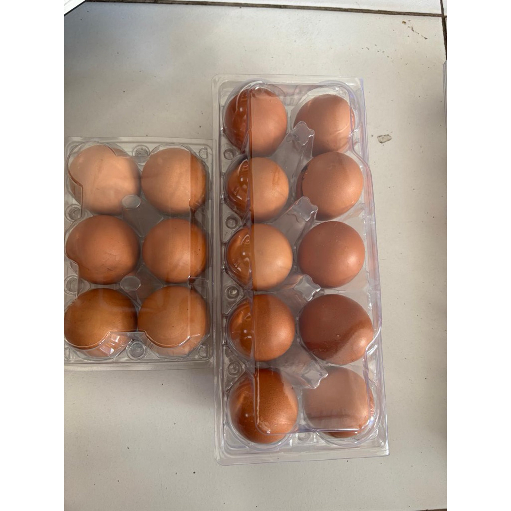telur ayam 900-1000g