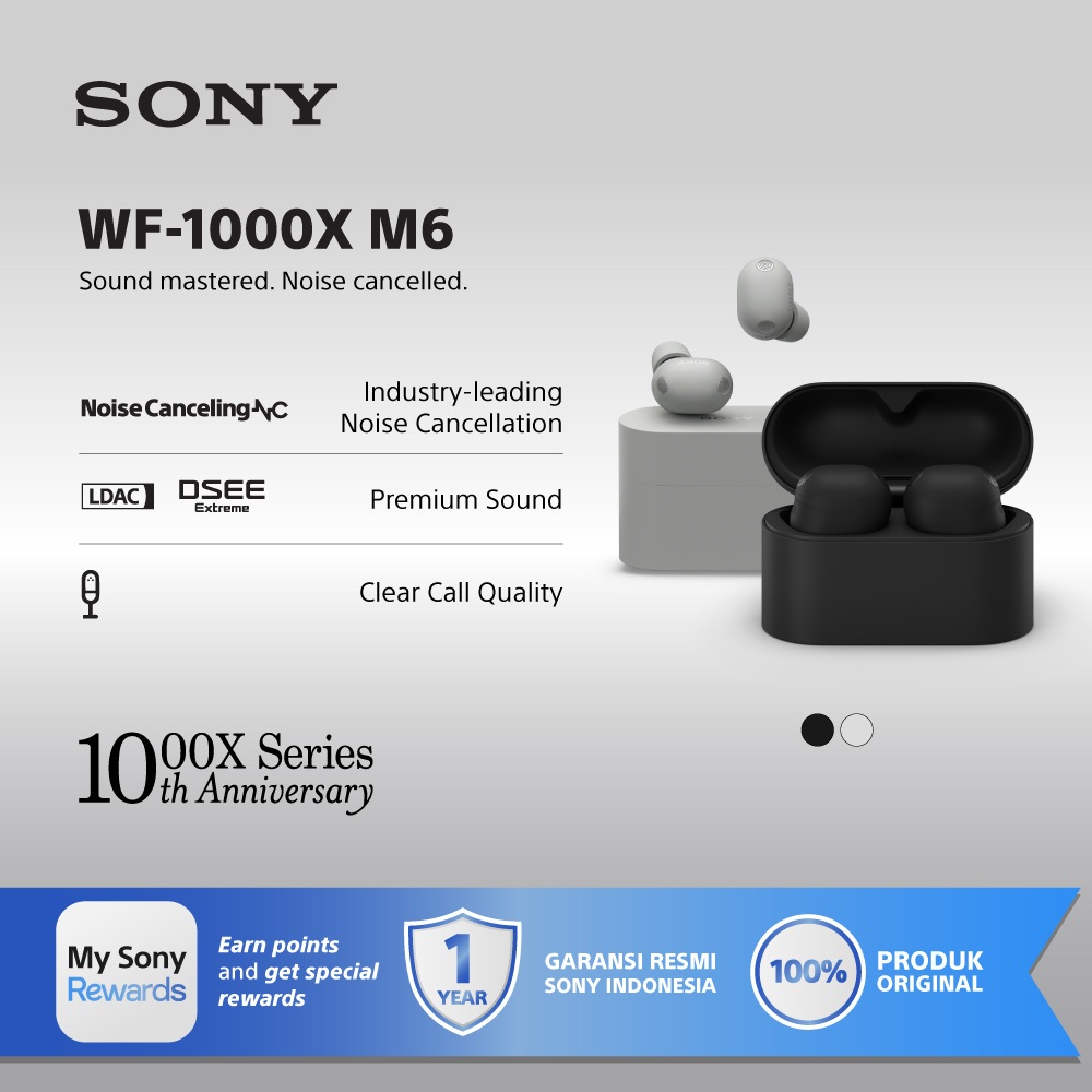 SONY WF-1000XM6 Noise Canceling Truly Wireless / WF1000XM6