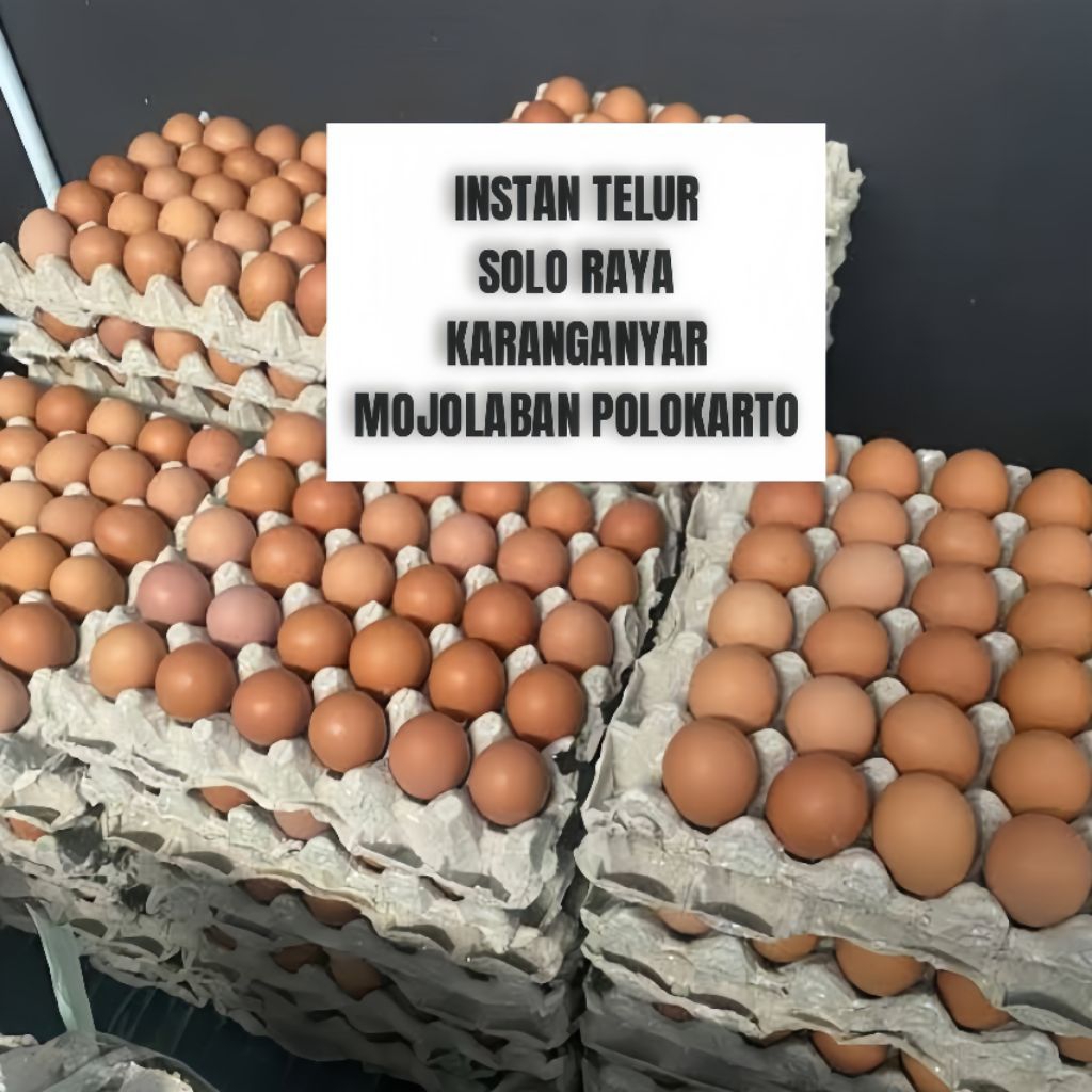 (INSTAN) SUKOHARJO SURAKARTA Telur Ayam Negeri Segar 1kg - Fresh & Praktis