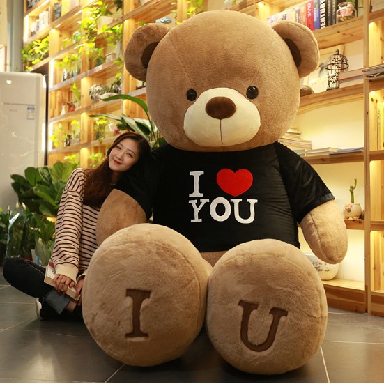 80cm teddy bear doll cuddle bear doll cute big doll gift for girlfriend girl boy toys 6MHE T43109 Shopee Singapore