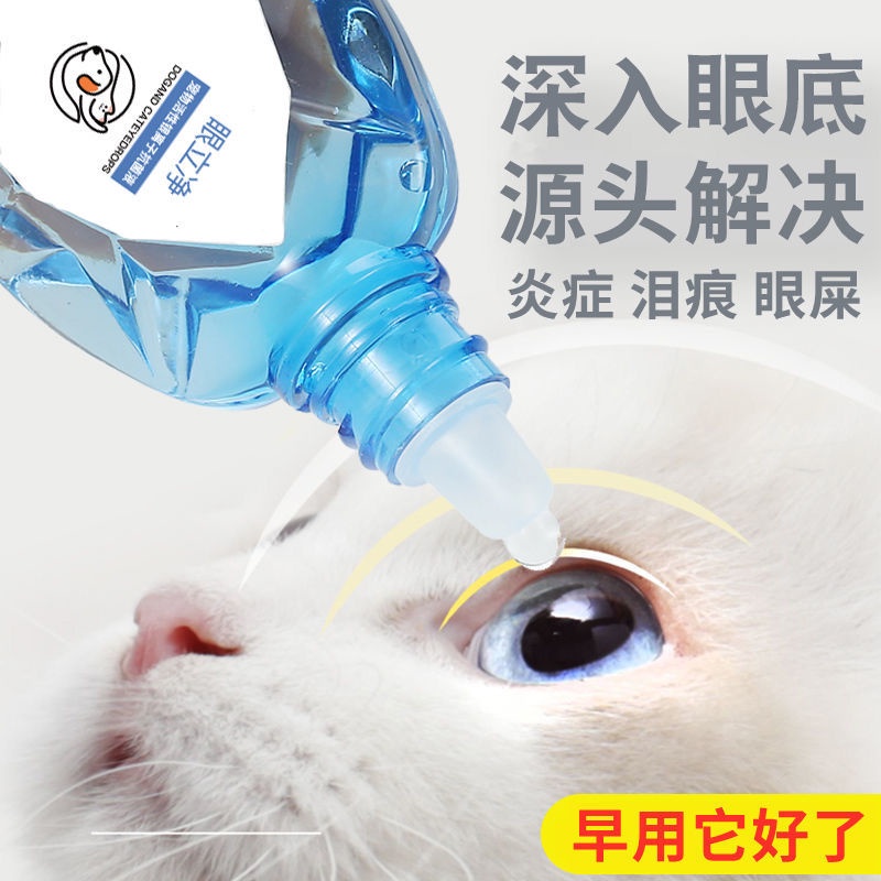 Cat drops eye drops eye Drop Sterilization Medical Cat eye drops eye