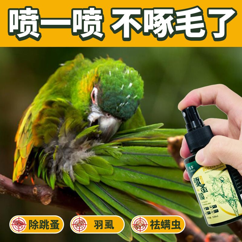 Parrot in vitro insect repellent spray with a cockatiel bird s Parrot