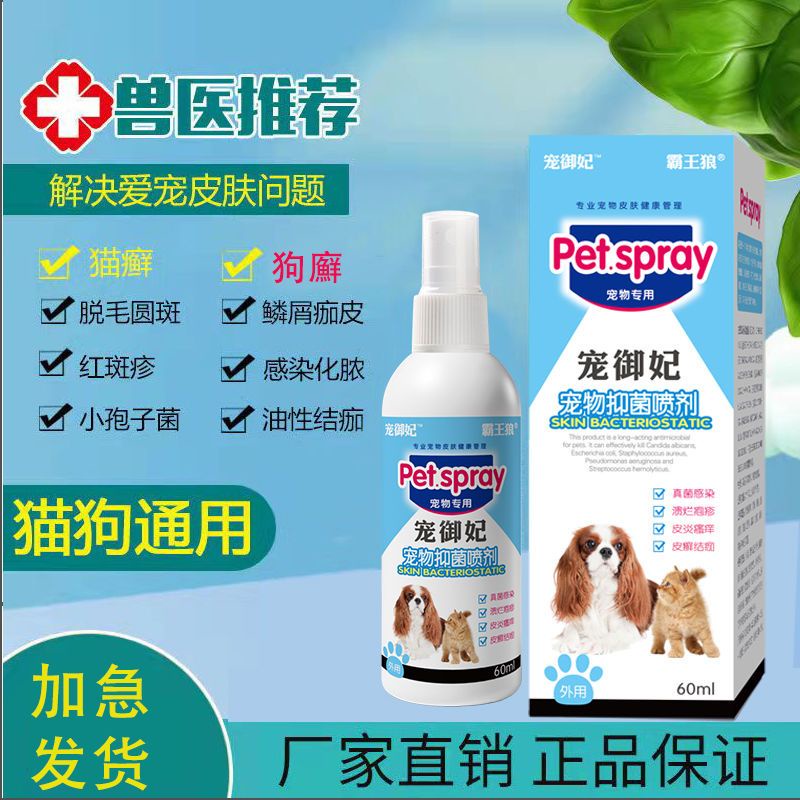 Dog Sterilization Antiitch Spray Fungus Infection Cat Moss Dog Skin