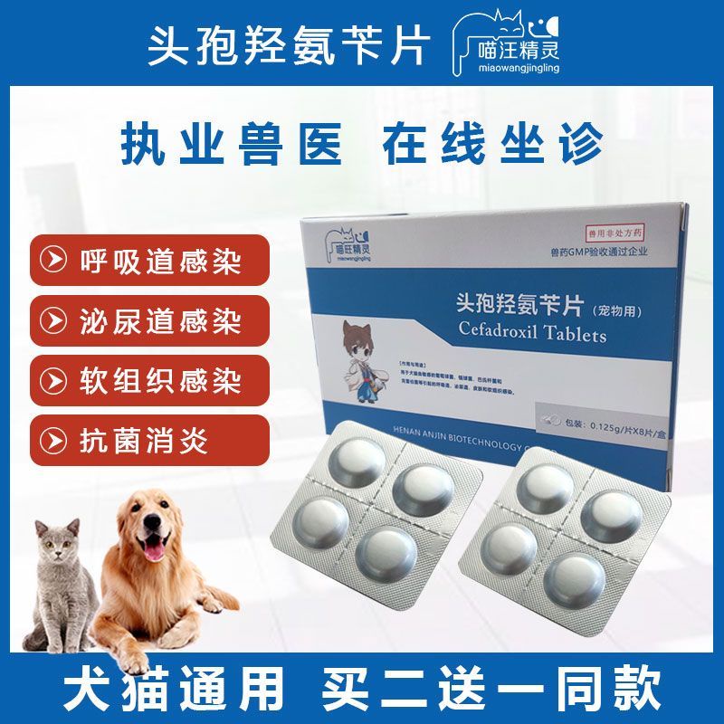 Pet cephalosporin tablets dog antiinflammatory drug cat urina Pet