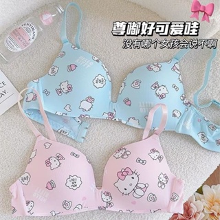 Kawaii Sanrio Hello Kitty Bra Set Sweet Underwear Panties Set Push