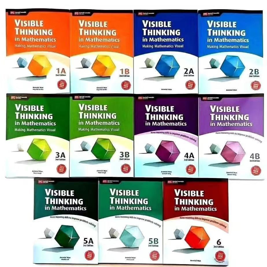 Visible Thinking in Mathematics新加坡国小数学练习册11册 | Shopee Singapore